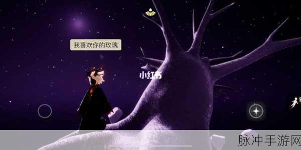 光遇探险奇遇记，小王子与神秘小金人的不解之缘
