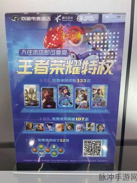 王者荣耀V10特权揭秘,共享皮肤,尊享荣耀新体验