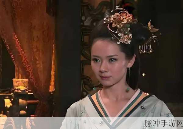 大唐无双绝学揭秘,平阳公主实战秘籍与赛事全攻略