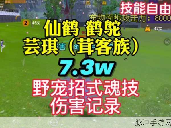 妄想山海芸琪刷新地点全揭秘，踏遍神秘之地，解锁攻略新篇章