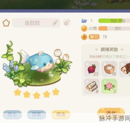 奥比岛宠物分布全揭秘，捕捉技巧与位置详解