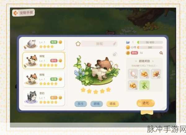 奥比岛宠物分布全揭秘,捕捉技巧与位置详解