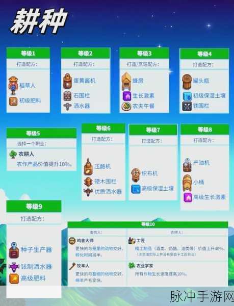 星露谷物语，技能升级全攻略，经验值详解