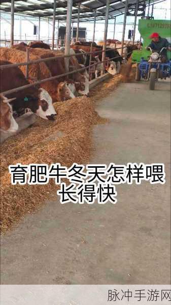 养牛达人,合成乐趣,牧场生活新体验等你来探索