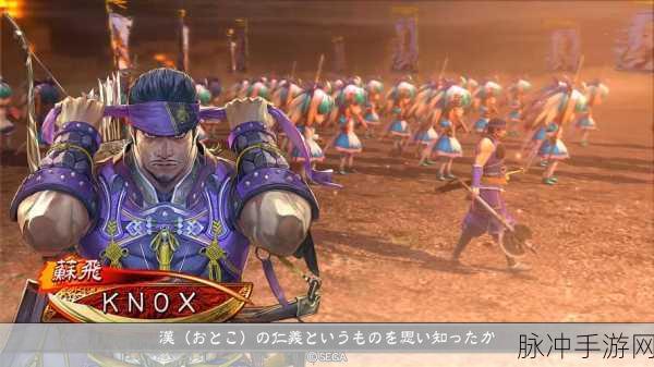 三国志大战DS,掌中策略与激情的碰撞