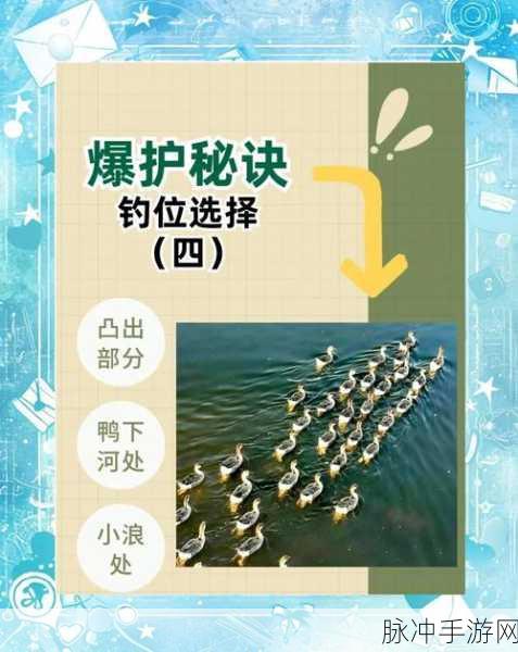 小森生活钓鱼达人秘籍，上钩前精准分辨鱼种