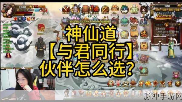 神仙道全新攻略大揭秘，最强伙伴搭配阵容，踏上仙界霸主之路