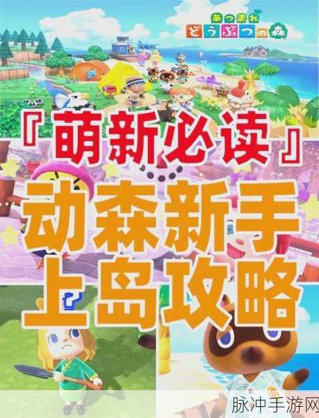 代号Q，解锁谜题，踏上未知冒险之旅的下载指南