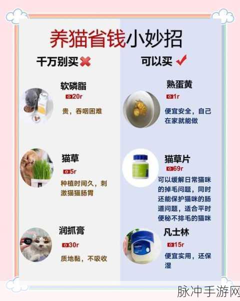驯猫达人来袭，轻松解压的养猫新体验