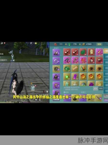 妄想山海北华念,乙级侍从的巅峰优势与全面培养攻略