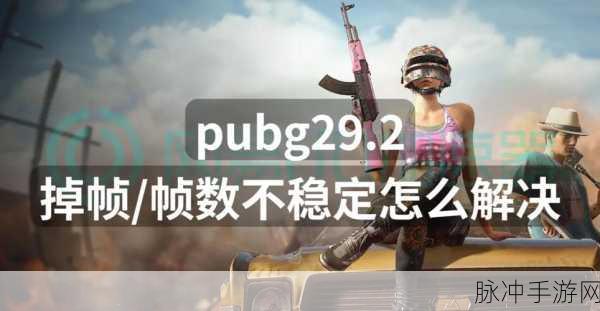 绝地求生大逃杀按键崩溃BUG全面解析与应对策略