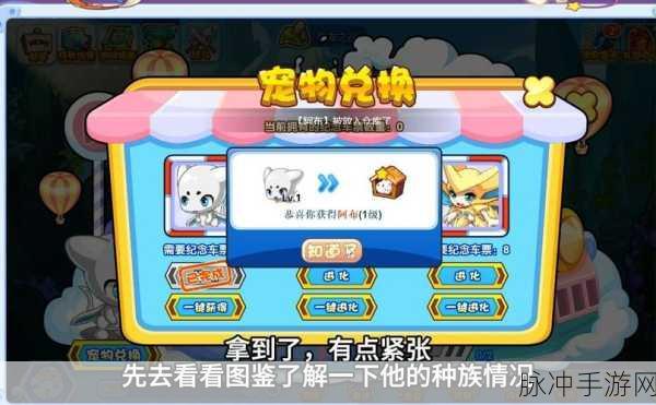 洛克王国贝斯特纸牌活动,全攻略及奖励盛宴