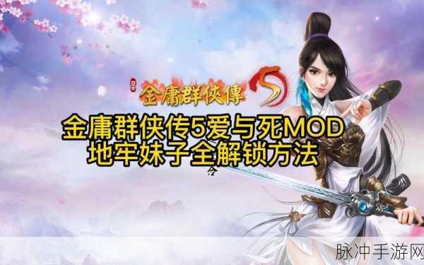 金庸群侠传5，揭秘成为才人的通关秘籍