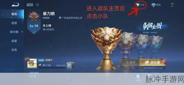 王者荣耀未入战队，如何洞悉战队风云？