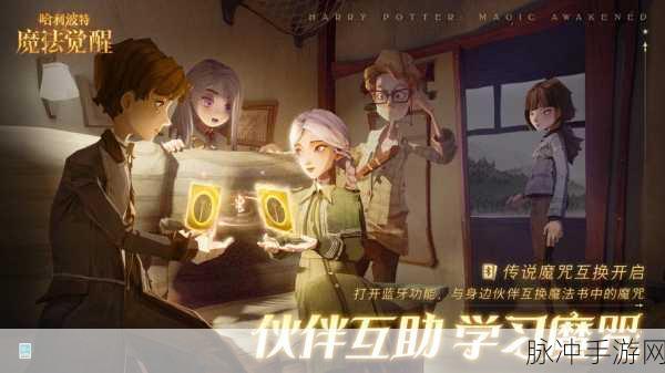 哈利波特,魔法觉醒深度探索,无字书的战斗智慧与解谜魅力