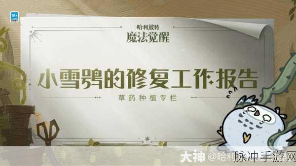 探索哈利波特魔法世界,雪鸮护身咒揭开神秘面纱