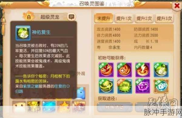 梦幻西游手游，超级灵龙获取全攻略，培养技巧大揭秘