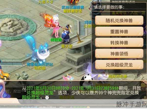 梦幻西游手游,超级灵龙获取全攻略,培养技巧大揭秘