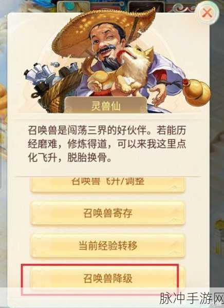 大话西游手游周天星斗第49关，解锁通关秘籍，助你轻松过关