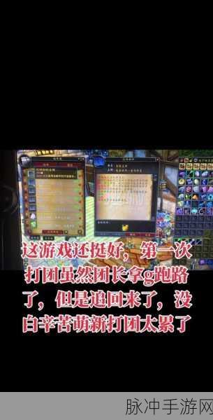 魔兽世界怀旧服风脸拍卖遇冷,2万金币难寻买家,团长无奈分解引热议