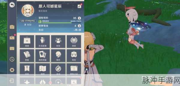 原神常规输出向风主加点全攻略