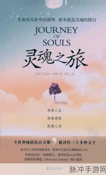 绝对演绎,解锁角色魅力的深度探索之旅