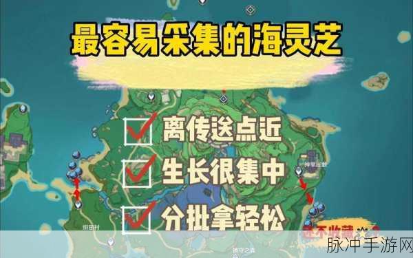 稻妻秘境探秘，解锁原神特产背后的文化密码