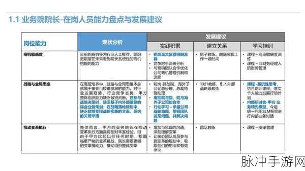 风华职业技能深度剖析与管理优化策略