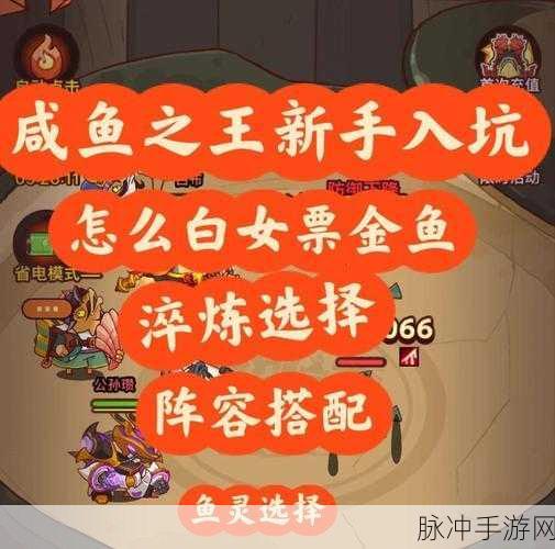 咸鱼之王雨神第四关通关秘籍，策略与阵容双管齐下