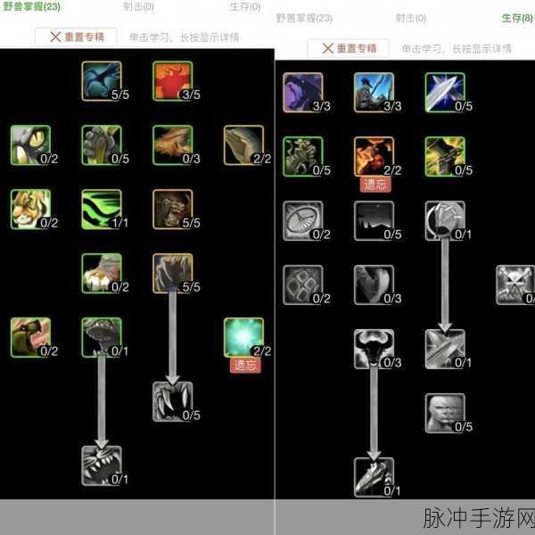魔兽世界猎人，主射击副生存天赋加点全攻略