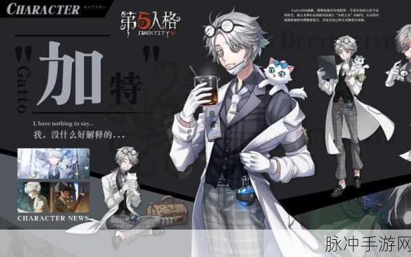 第五人格内测限定,揭秘稀有珍藏,领略非凡魅力之旅