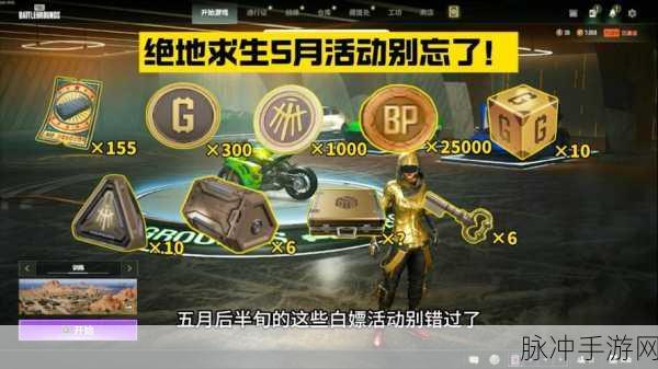绝地求生98元费用大揭秘,一次性投资还是持续月费?
