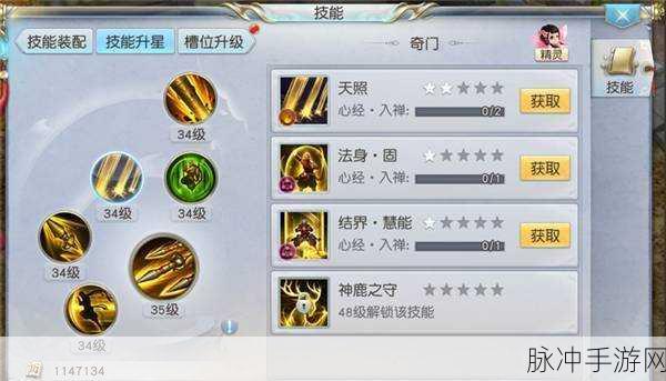 镇魔曲手游圣修职业全解析,定位精准与装备优选