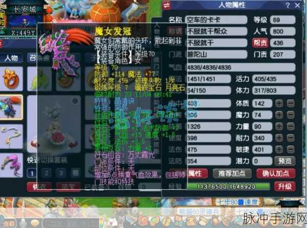 梦幻西游深度探索，69级普陀山角色标准属性全攻略