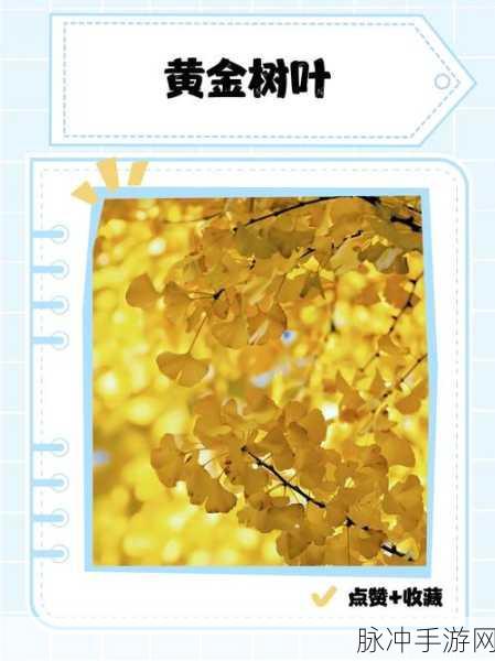 DNF黄金树活动全攻略,揭秘黄金树叶与树枝的获取之道