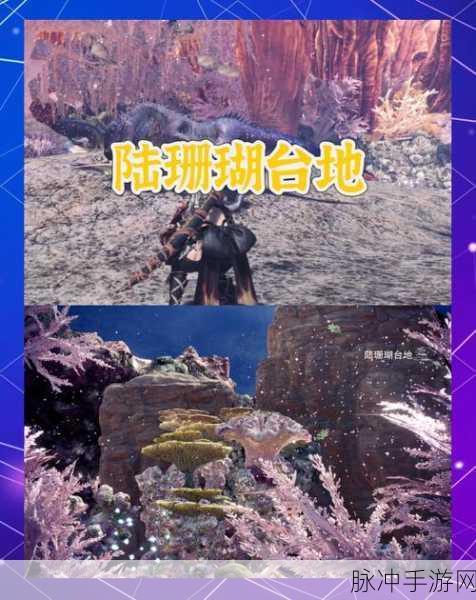 怪物猎人世界，揭秘至高稀有度的奇幻寻宝之旅