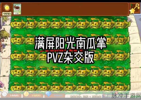 植物大战僵尸，阳光收集秘籍，助你飞速通关！
