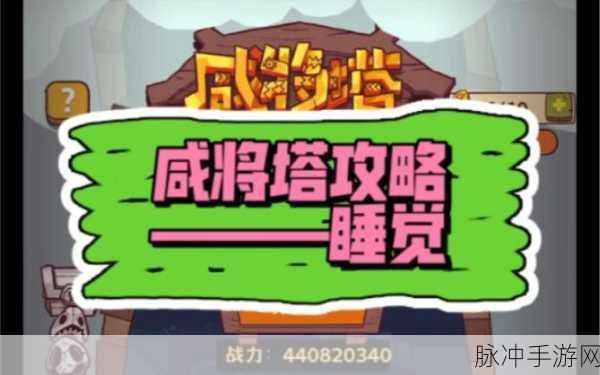咸鱼之王咸将塔85-5层深度攻略,解锁通关秘籍与策略