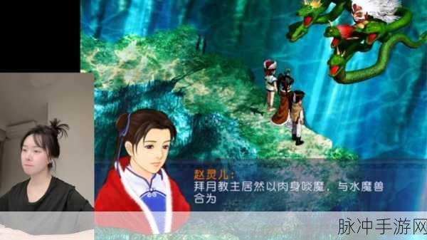 仙剑奇侠传系列终局解析，玩家视角下的情感与宿命交织