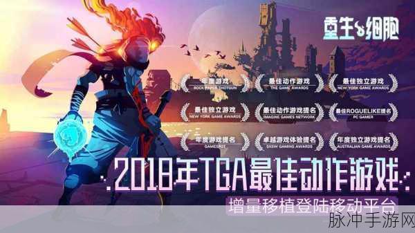 重生细胞壁垒出口全揭秘,资深玩家的通关秘籍