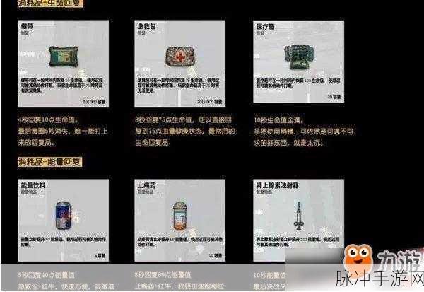 刺激战场生存秘籍，高效利用药品，拒绝浪费的实战技巧
