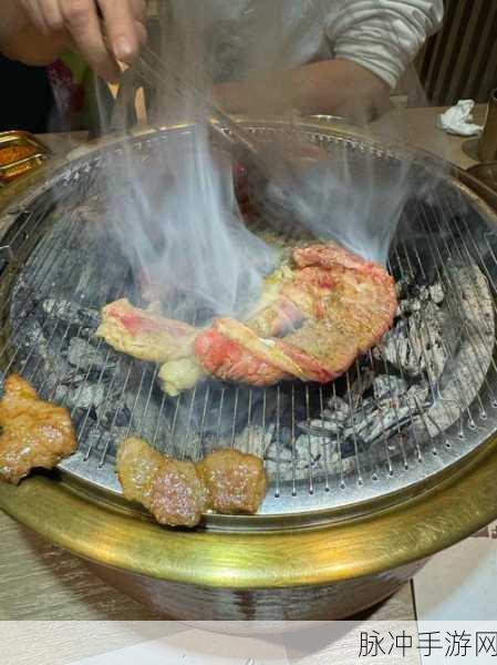 幻塔滋滋烤肉,解锁美食与冒险的双重乐趣