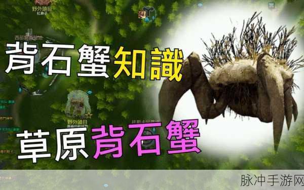 黑色沙漠手游背石蟹解锁全攻略,新手进阶高手的必经之路