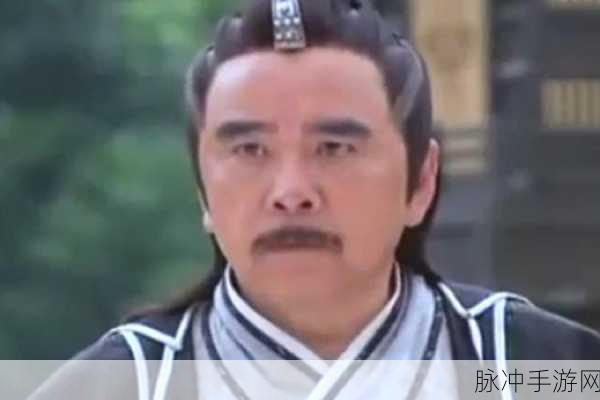 天涯明月刀,揭秘杨夫人与向应天的隐秘阴谋