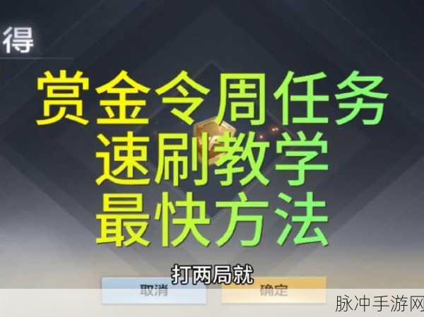 CF手游深度解析，2025年赏金令理财卡的投资秘籍
