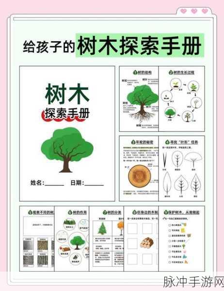 小森生活深度探索，万顷树寻觅秘籍，刷新点独家大公开