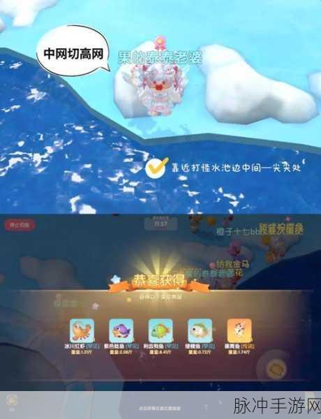 摩尔庄园深度探索,揭秘胖头鱼的非凡之旅与潜在宝藏