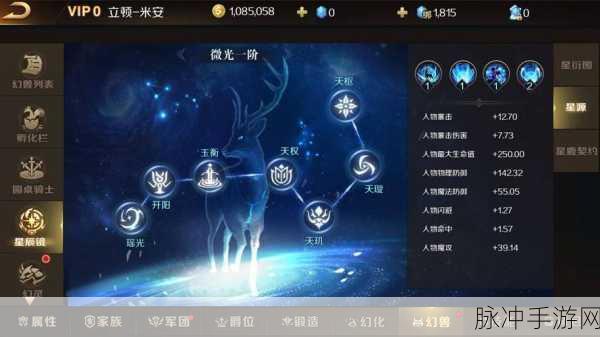 哮天犬符文搭配全攻略，梦幻新诛仙玩家必看