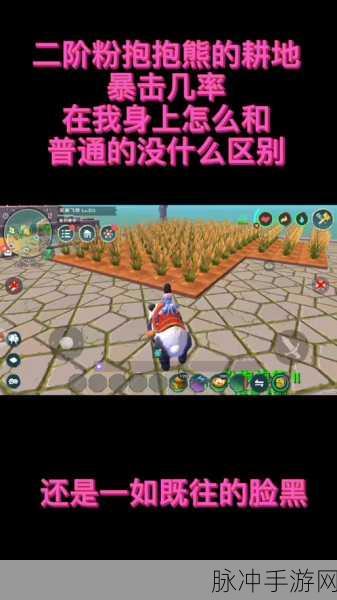 创造与魔法深度探索，抱抱熊融合全攻略——融合路线、技巧与策略大揭秘