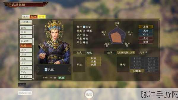 三国志14威力加强版,揭秘49位隐藏武将的辉煌篇章